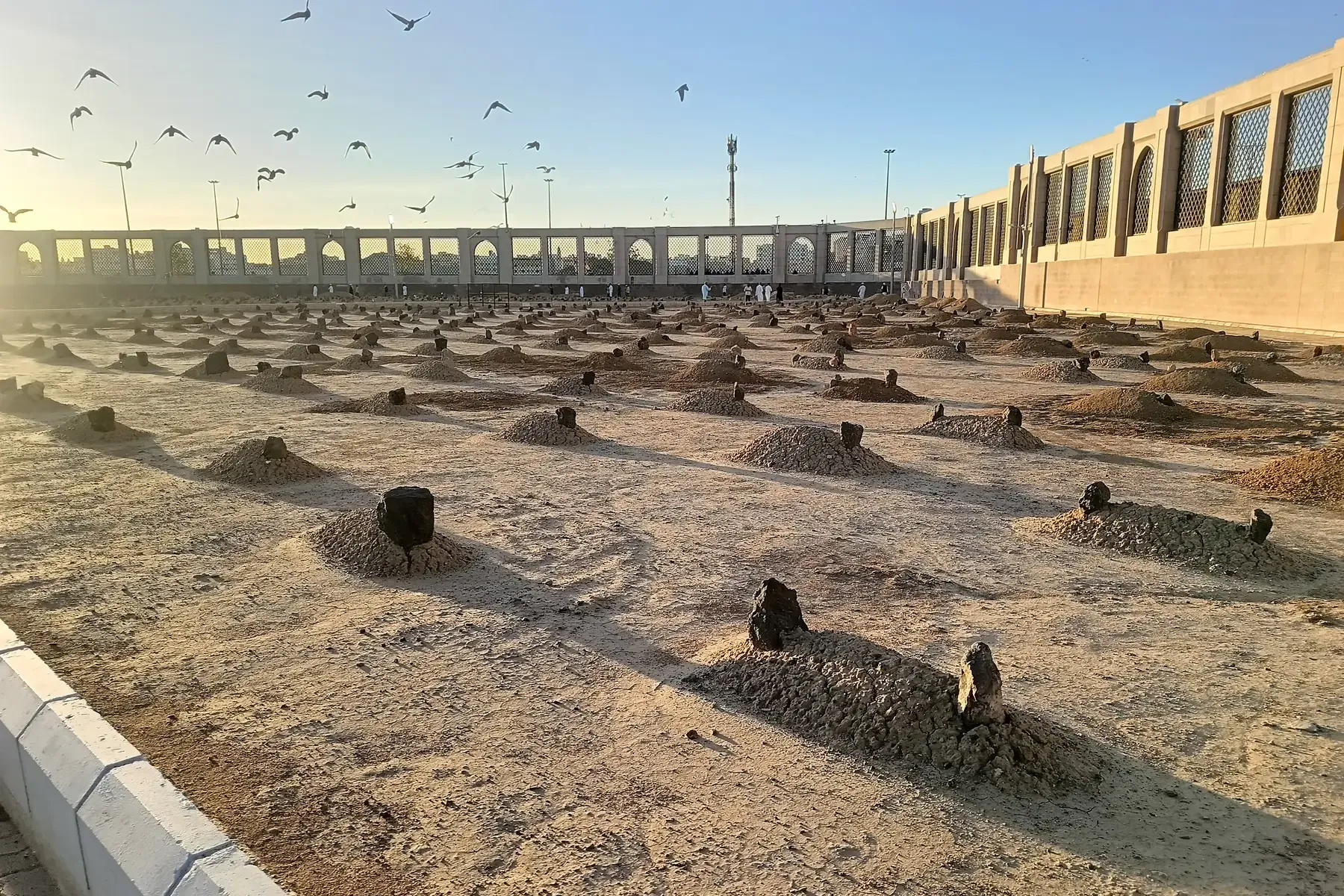 Låga jordkullar med en mörk sten vid huvudändan på ett sandfält i morgonsol; duvor flyger över, bakom en lång mur med gallerfönster.