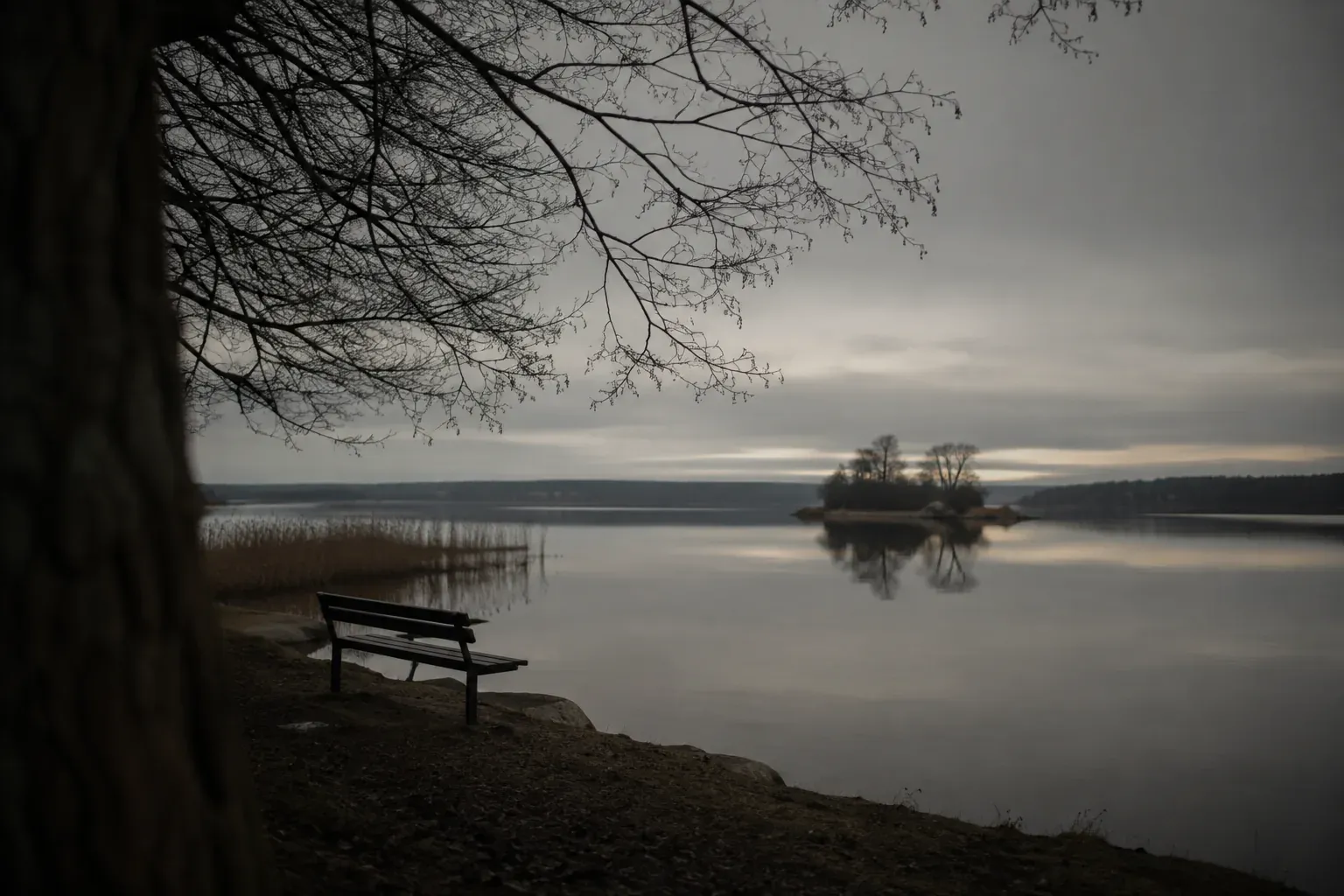 Tom parkbänk under ett kalt träd vid en stilla sjö i grå skymning, med en liten trädbevuxen holme längre ut