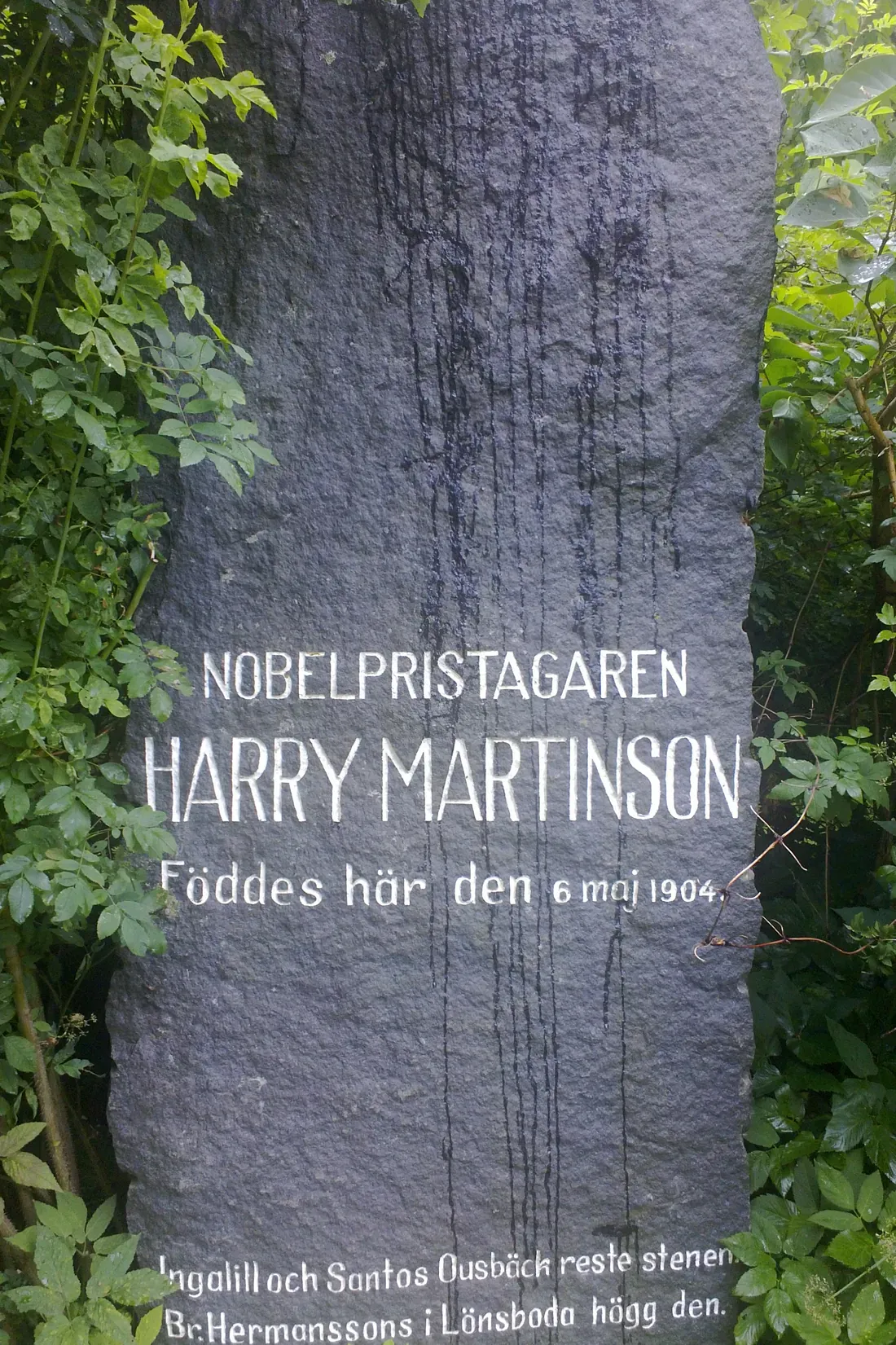 En hög, smal sten av mörk diabas i grönskan, med vit inhuggen text: Nobelpristagaren Harry Martinson föddes här den 6 maj 1904. Längst ned står vilka som reste stenen och vilka som högg den.