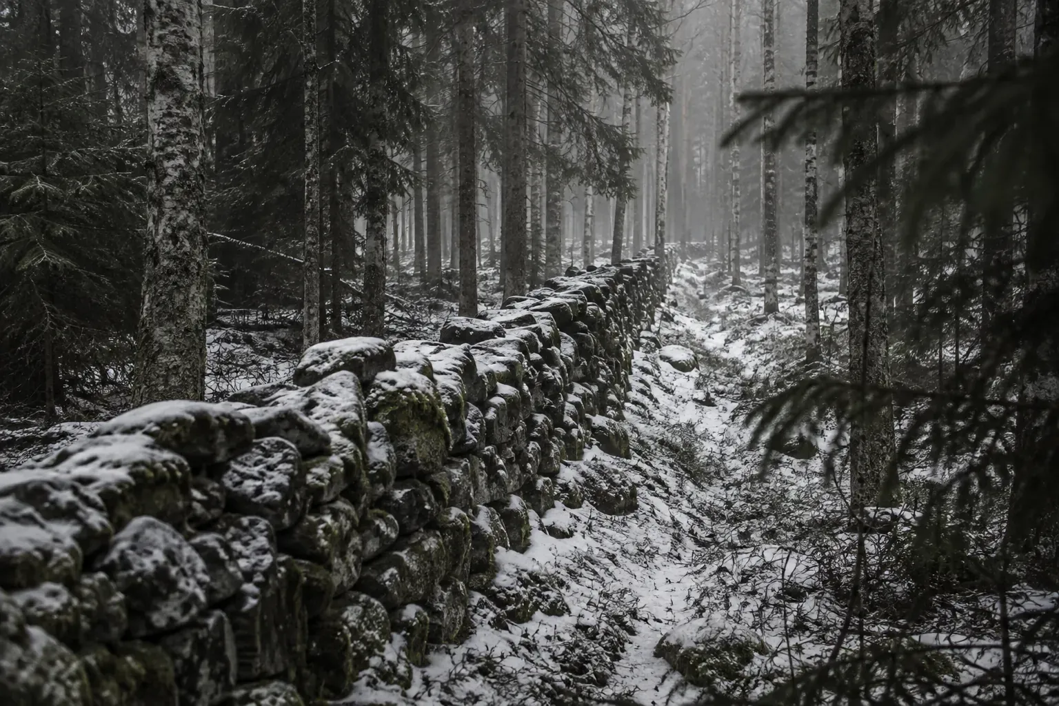 Gammal kallmurad stenmur som löper genom vinterskog, täckt av mossa och snö.